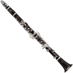 Buffet R13 Pro Wood Clarinet -  Nickel Keys BC1131-5-O