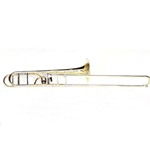 Pro Trombone, gold brass bell open wrap