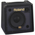 Keyboard Amp - 40 WATTS