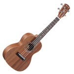 Alvarez Mahogany Concert Uke