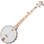 Deering Goodtime Openback Banjo