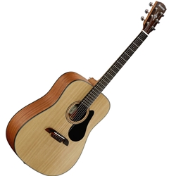 Acoustic Guitar, Alvarez Solid Spruce Top Mahogany B/S